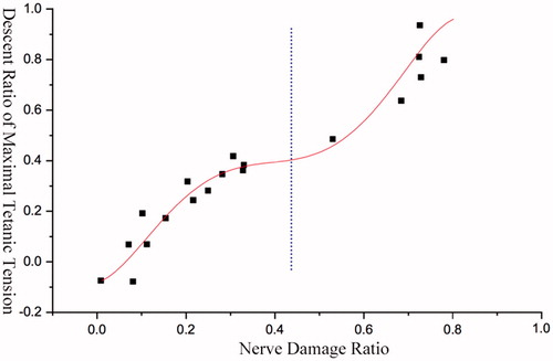 Figure 6. Variation trend of maximal complete tetanic tension. Each of the SD rat provides 3–4 fitting points.