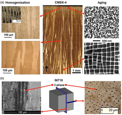 7 In-situ heat treatment during SEBM: a Nickel-base alloy CMSX-4 (schematic). Middle: Micrograph of the sample with elongated grains. Left: Homogenisation (LOM), Right: Aging of the γ’-particles (SEM) (see also Ref. Citation16), b Nickel-base alloy IN718: the niobium-rich δ-phase is precipitated in the interdendritic areas with columnar architecture