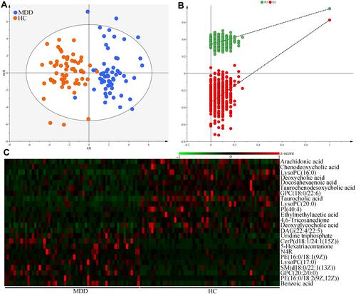Figure 3 Metabolomic analysis of serum samples from MDD patients and HCs. (A) The divergent serum metabolic phenotype was observed between the two groups; (B) the results of 399-item permutation test indicated that the discriminative model was robust; (C) the heatmap of the identified 24 differential serum metabolites.