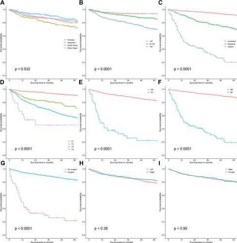 Figure 4 Kaplan–Meier curves of OS in Asian-patients with ccRCC, stratified by race/ethnicity (A), age at diagnosis (B), historic stage (C), T stage (D), N stage (E), M stage (F), the administration of surgery (G), tumor laterality (H) and sex (I). Younger age at diagnosis, earlier tumor stages (TNM, histological) and the administration of surgery were tightly associated with better OS in Asian-American patients.