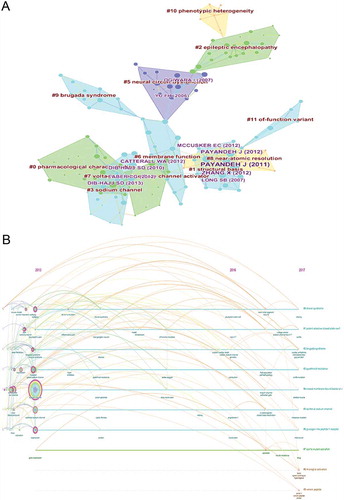 Figure 8. The analysis of references. (a) Co-citation network of references from publications on sodium channel research; (b) Co-citation network (timeline) of references from publications on sodium channel research.