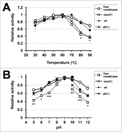 Figure 4. Assessment of the activities of the encapsulated creatinases at various temperatures (A) and pH (B). To assess temperature and pH sensitivities for indicated spores harboring creatinase–HA or free creatinase–HA, their activities were assayed at various temperatures (30°C to 90°C) and pH (5 to 12). As the free enzyme, creatinase–HA secreted from vegetative yeast cells was used. The maximum activity obtained for each assay was determined as 1.0 and relative activities are shown. For the pH sensitivity, potassium phosphate buffer (pH 5 to 10) and sodium carbonate buffer (pH 10 to 12) were used. Data presented are the mean ± SE of 3 independent samples. Statistic analysis was performed between free creatinase and osw2Δ spores, and asterisks were deposited when statistically significant differences were found. *P < 0.05; **P < 0.01; ***P < 0.001.