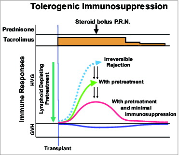 Figure 6. Principles of tolerogenic immunosuppression.