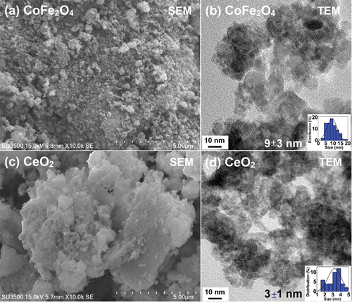 Figure 2. SEM, TEM images and particle size distributions of (a and b) CoFe2O4 and (c and d) CeO2.