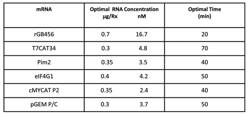 Figure 1. Summary of the optimal mRNA concentrations and reaction times. As described in results, optimal mRNA levels and reaction times for in vitro translation were determined independently and are shown in the figure. Determination of the optimal conditions was based upon hot TCA precipatable [35S]methionine with aliquots taken for the utilization of 0.2, 0.4, 0.6, 0.8 and 1.0 μg of added mRNA or at 0, 10, 20, 30, 40, 60 and 80 min. when an optimal amount of mRNA had been determined.