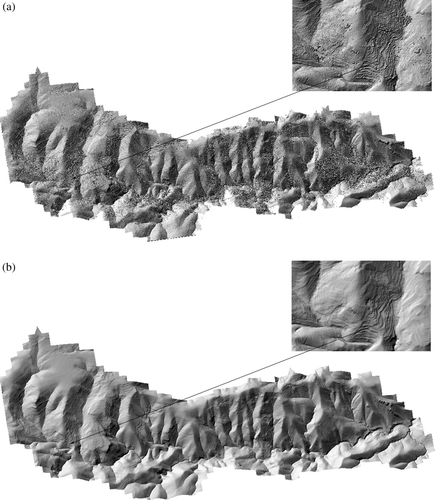 Figure 5.  A shaded relief image of DSM (a) and shaded relief image of a DTM calculated with analysis window size vector 10, 5, and 2.5 m; thresholds 2.5 m; and rasterized data as entry data (b). In the detail it can be appreciated that the shrub vegetation areas have been removed in the height filtering in the DTM.