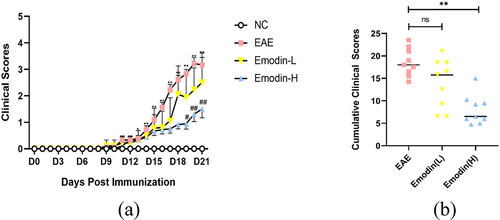 Figure 1. Emodin ameliorated the EAE clinical scores. (a) Clinical scores changes in NC, EAE, and emodin on 21 dpi. (b) Cumulative clinical scores of two groups on 21 dpi. Data were expressed as means ± standard deviation (n = 9). Comparisons among four groups were analyzed by one-way ANOVA on 21 dpi in A. Comparisons among four groups were analyzed by Kruskal-Wallis test using Bonferroni comparisons post hoc tests except 21 dpi in A. Comparisons among EAE, emodin-L, and emodin-H groups were analyzed by the one-way ANOVA in B. *P < 0.05, **P < 0.01 versus NC group, #P < 0.05, ##P < 0.01 EAE group, and ‘ns’ stands for not significance.