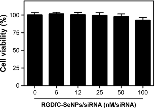 Figure S5 In vitro cytotoxicity of RGDfC-SeNPs/siRNA on Lo2 cells.Abbreviations: RGDfC, Arg-Gly-Asp-D-Phe-Cys peptide; SeNPs, selenium nanoparticles.