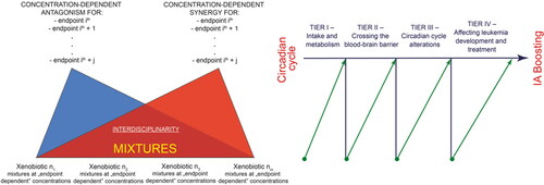 Figure 4. Schematic presentation of possible future experimental developments. We consider four levels: determining pollutants and drug intake, their metabolism/transformation, their arrival at the target organs and tissues, and the eventual development/treatment of leukemia in relation to alterations in circadian cycles.