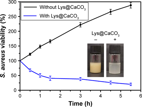 Figure S1 Time-dependent viability of Staphylococcus aureus (calculated by turbidity at 600 nm) co-cultured with and without Lys@CaCO3.Abbreviation: Lys, L-lysine.