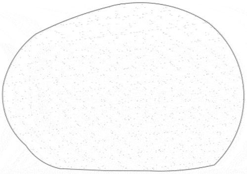 Figure 6. Approximate of the actual shape of film bag sand.