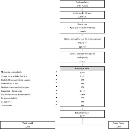 Figure 1 Study flow diagram.