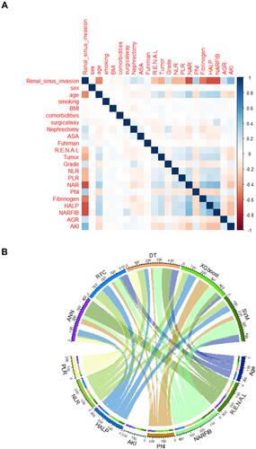 Figure 2 Variable screening and weight allocation. (A) Correlation matrix analysis of candidate features. (B) The weight distribution of the candidate variables of each ML-based model.