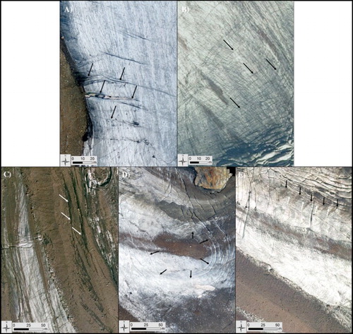 Figure 4. Examples of glaciological structures of Forni Glacier as seen on the orthophotos. (A) Chevron crevasses (2014 orthophoto); (B) Crevasse traces (2012); (C) Normal faults (2012); (D) Ring faults (2014); (E) Ogives (2014; the dark ice bands are marked with black arrows, the light ice ones with white arrows).