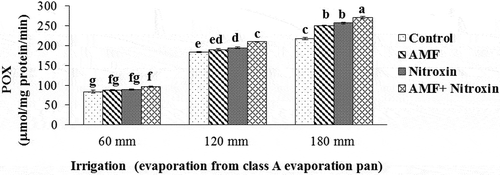 Figure 3. Interaction effect of irrigation and inoculation with bio-fertilizers on POX activity of sorghum. Values represent means ± SE. Different letters indicate significant differences using LSD test (P <.05)