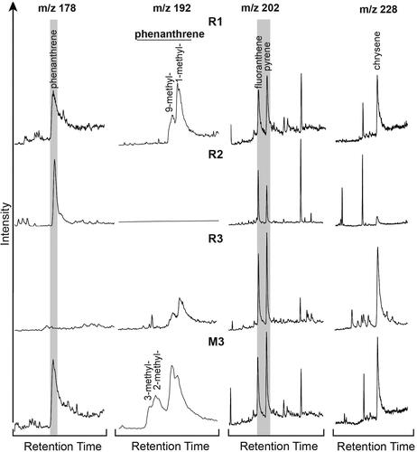 Figure 12. m/z 178, m/z 192, m/z 202, and m/z 228 ion chromatograms of the polycyclic aromatic hydrocarbons of the surficial sediment samples. The grey shading highlights the key compounds used to calculate the diagnostic ratios in Table 4.