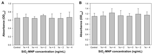 Figure 5 Cytotoxicity analysis of silica-coated magnetic nanoparticles (SiO2-MNP) by 3-(4,5-dimethylthiazol-2-yl)-2,5-diphenyl-tetrazolium bromide (MTT) (A) and lactate dehydrogenase (LDH) (B) assays. (A) 3T3 cells were contacted with SiO2-MNP at indicated concentration for 3 days before measuring mitochondria activity by MTT assay at 570 nm (OD570). (B) 3T3 cells were contacted with SiO2-MNP at indicated concentration for 1 day before measuring released LDH concentration at 490 nm (OD490).Note: 3T3 cells without contacting SiO2-MNP were used as the control.