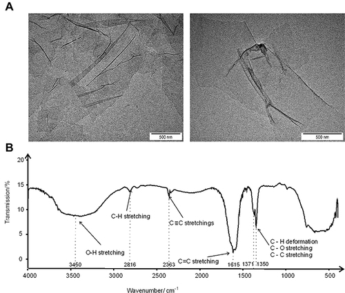 Figure 1 Transmission electron microscopy images of GO flakes (A); middle infrared (MIR) spectrum of graphene oxide (GO) registered in transmission mode in the spectral range of 4000–400 cm−1 (B).