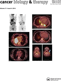 Cover image for Cancer Biology & Therapy, Volume 17, Issue 8, 2016