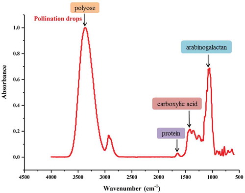 Figure 3. Fourier transform infrared spectroscopy results obtained in the PDs of G. biloba.