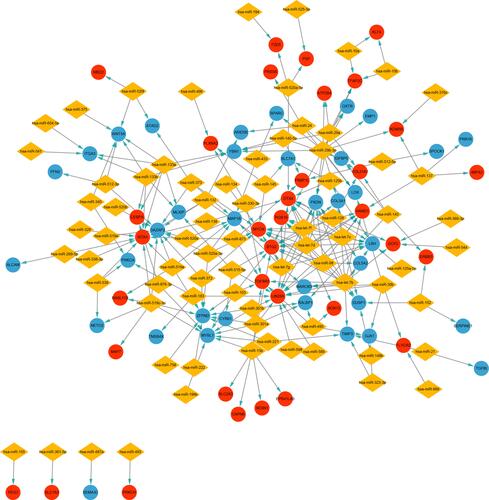 Figure 6 Construction of miRNA-target gene regulatory network. Red nodes and blue nodes indicate upregulated and downregulated DETGs, respectively. Diamonds represent DEMs.