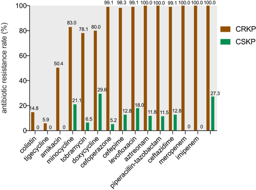 Figure 2 The results of antimicrobial susceptibility test of K. pneumoniae strains.
