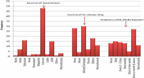Figure 1. Combined chart on media source, format and exposure frequency.