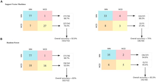 Figure 5. Performance evaluation of different classifiers to discriminate IMN from MCD. A total of 16 bacteria and 5 clinical data at baseline were included in the construction of the classifier. The confusion matrix of the classifier constructed by support vector machine shows that its accuracy is 92.9% in the training group and 75% in the test group. The confusion matrix of the classifier constructed by random forest shows that its accuracy is 83% in the training group and 83.3% in the test group. IMN: idiopathic membranous nephropathy, MCD: minimal change disease.