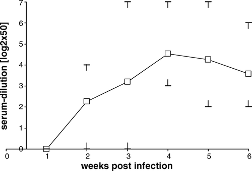 Figure 4.  ELISA analysis of experimentally PiCV-infected pigeons. Fifteen pigeons were infected with PiCV-positive tissue homogenate followed by weekly bleeding. Mean (□), individual minimal and maximal titres (⊥ ⊺) are expressed as log2×50. doi, day of infection.