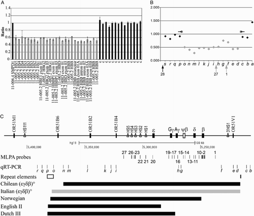 Figure 1 Molecular characterization of the Italian (ϵγδβ)0-thalassemia and comparison with others’ deletions. (A) MLPA analysis of the new deletion. Ratio between the values obtained from the proband and normal subjects: the position of the different probes on the beta-globin gene cluster is indicated on the x-axis. Shown in gray are the probes with half dosage and in black, the probe with full dosage. (B) Quantitative real-time PCR analysis (primers in Table 1) probing the regions not tested by MLPA: 12 fragments (gray diamonds) show half dosage and seven fragments (black diamonds) show full dosage. The localization of MLPA fragments 28, 27, and 1 is shown. (C) Scheme of the beta-globin gene cluster with location of the MLPA probes (indicated with numbers) and of the quantitative real-time PCR fragments (indicated with small letter in italic); the s and a fragments are at 5′ and 3′ arm of depicted region. Genes are indicated by filled rectangles; pseudo gene is indicated by an empty rectangle; DNA hypersensitive sites (HS) are indicated by empty triangles. The positions of the LINE element and of the 160-bp palindrome are reported in the section repeat elements. The position of the Italian (ϵγδβ)0-thalassemia deletion (gray bar), of the Chilean (ϵγδβ)0-thalassemia deletion (most similar), and of three deletions with 5′ breakpoints localized in the LINE element are indicated by thick lines.