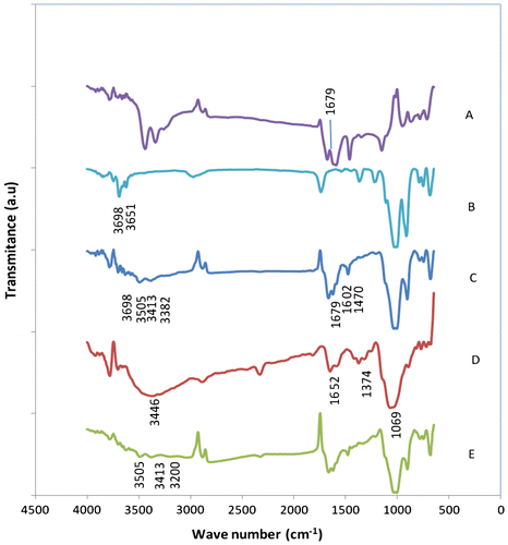 Figure 6. FTIR (4000–500 cm−1) for A. Urea; B. Kaolinite; C. Urea-intercalated kaolinite; D. Chitosan and E. Urea-intercalated kaolinite with chitosan binder.