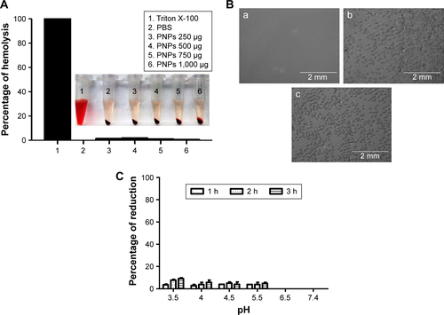 Figure S2 Analysis of biocompatibility and pH stability of PNPs.Notes: (A) Hemolysis assay using chicken RBCs treated with (1) Triton X-100; (2) PBS; and (3–6) various indicated concentrations of PNPs. (B) Simple microscopy pictures of chicken RBCs incubated with (a) Triton X-100; (b) PBS; and (c) PNPs (1,000 µg/mL) for 3 hours. (C) In vitro pH stability of PNPs treated for 1, 2, and 3 hours.Abbreviations: PNPs, polyanhydride nanoparticles; RBCs, red blood cells.