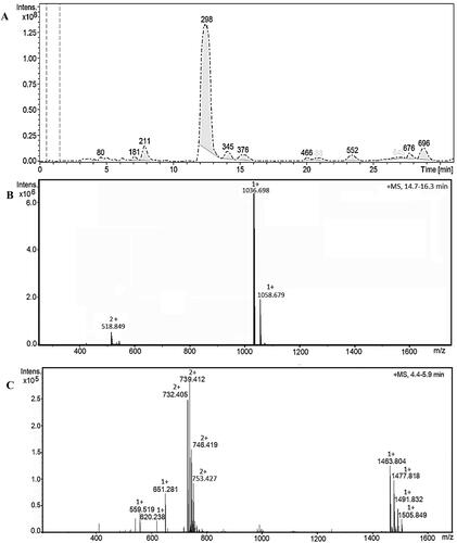 Figure 5. Analyses of lipopeptides of B. velezensis strain R22 by UHPLC-Q-TOF mass spectrometer. (A) The total ion chromatogram of 10 μL lipopeptides extracted from the cell-free supenatant obtained after B. velezensis strain R22 growth, identified at λ 226 nm in the range m/z 150–3500; (B) LC-MS of a peak eluted between 14.7 and 16.3 min, predominant [M + H]+ ion at m/z 1036.698 corresponding to surfactin; (C) LC-MS of peak eluted between 4.4 and 5.9 min dominated by double charged ions [M + 2H]2+ at m/z 732.405, 739.412, 746.419, and 753.427 corresponding to [M + H]+ ions at m/z 1463.804, 1477.818, 1491.832, and 1505.849, identified as different forms of fengycin.