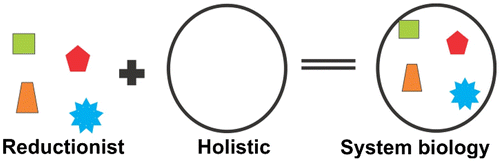 Figure 1 The reductionist vs. holistic approaches.