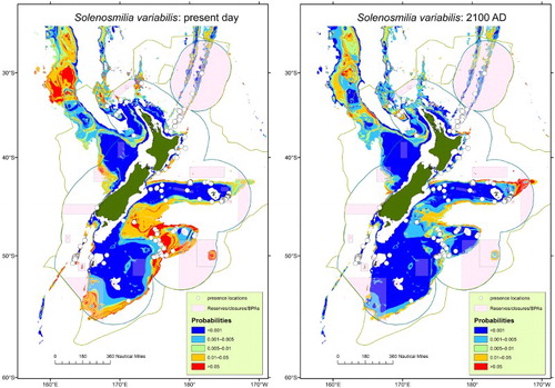 Figure 6. Habitat suitability maps for S. variabilis based upon present-day distribution from bottom tow data (left panel), and projected future distribution derived using an ESM (right panel, Anderson et al. Citation2016).