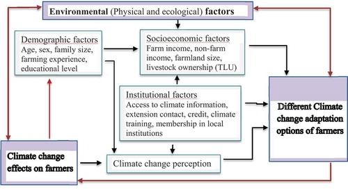 Figure 1. The conceptual framework