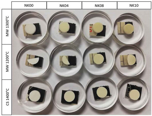 Figure 5. Image of zirconia color samples doped with different quantities of Fe2O3 sintered by MW and CS