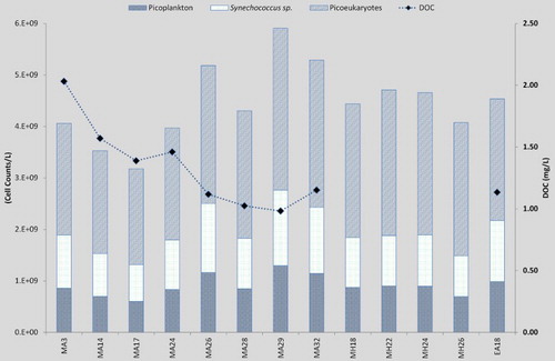 Figure 6. Picoplankton community cell counts for each site subdivided into three groups: picoplankton; Synechococcus sp.; and picoeukaryotes, with dissolved organic carbon (DOC) on the secondary axis.