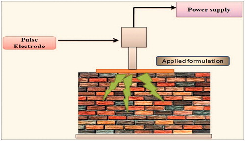 Figure 8. Enhancement of transdermal permeation by electroporation technique.