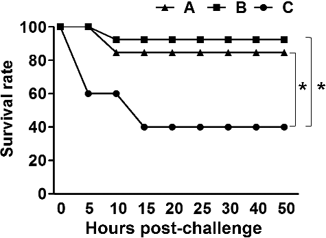 Figure 6. A lethal challenge against a wild type of F18+ STEC. Survival rates were observed in the mice immunized with the mixed formula of three ghost vaccine candidates of JOL912 derivatives with (A; n = 10) a single dose, (B; n = 13) a double dose, and (C; n = 12) non-immunized BALB/c mice after the challenge.