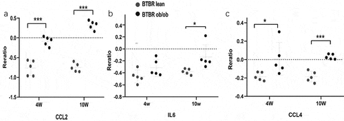 Figure 7. The expression of genes significantly upregulated in the adipose of the 10-weeks obese diabetic mice. (a) CCL2 gene expression was significantly upregulated in the adipocyte of the 10-weeks obese diabetic mice (p < 0.001). (b) IL6 gene expression was significantly upregulated in the adipocyte of the 10-weeks obese diabetic mice (p < 0.05). (c) CCL4 gene expression was significantly upregulated in the adipocyte of the 10-weeks obese diabetic mice (p < 0.001).