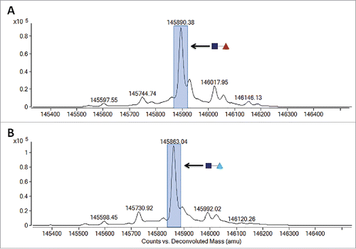 Figure 7. LC-MS spectragraph of Endo H treated mAb-1 expressed in CHO cell culture with different sugar supplements. (A) Glucose-only control. (B) D-arabinose.