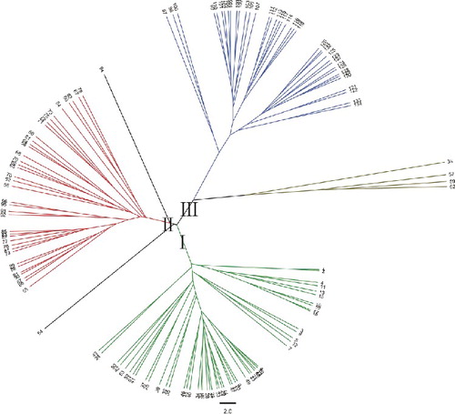 Figure 1. Dendrogram for a reference set of 134 ramie accessions based on the allelic data of 36 SSRs.