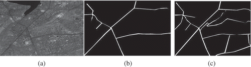Figure 3. Road network information extracted from the PAN image using the CNN method. (a) Original image, (b) road network, and (c) road network.