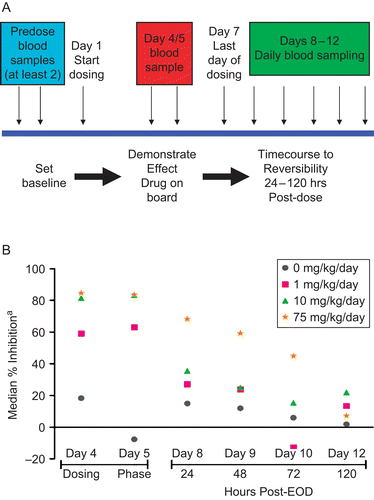 Figure 2.  Ex vivo assessment of innate immune cell function in cynomolgus monkeys treated with Compound A for 1 week demonstrated a dose-dependent functional inhibition and time course to reversibility. (A) Study design. Compound A was administered at 1, 10, or 75 mg/kg/day for 1 week to 6 male monkeys/group followed by 24–120 hr of dose-free recovery. Blood samples (≈ 2 mL) were collected from the femoral vein of unanesthetized hosts into tubes containing sodium heparin as an anticoagulant twice during the pre-study period to establish baseline values, on Days 4 and 5 (≈ 1.5 hr after dosing), and at ≈ 24, 48, 72, and 120 hr after the final (Day 7) dose. Samples were analyzed upon collection for respiratory burst and phagocytosis function using commercially-available kits with known application to non-human primates. (B) Data were expressed as median % inhibition of the per day control group mean fluorescent intensity (MFI). MFI were normalized to pre-test MFI values for each monkey before percentage inhibition calculation.