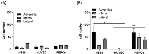 Figure 7. The cell number of HS68 fibroblasts, HUVECs, and PEPCs grew on a decellularized pulmonary artery pooling from 2 separate experiments. A) Day 7 after culture. B) Day 14 after culture (*p < .05, **p < .01, two-way ANOVA, bonferroni comparison test).