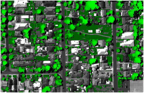 Figure 4. Depiction of the vegetation height for the year 2007 overlaid on a grey scale aerial photograph. In this figure, the height of the vegetation is indicted by its brightness in green, ordered from dark to bright green representing low to high vegetation height, respectively.