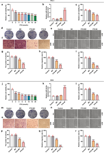 Figure 5. MiR-144-5p mimic enhanced the inhibitory effects of PTX on cell viability, proliferation, migration, and invasion of TPC-1 and IHH4 cells.