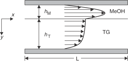 Figure 2. Velocity profile for two immiscible reactants.