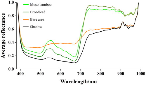 Figure 4. Spectral curves of CR spectrum. The spectral curves of two types of vegetation, Moso bamboo and broadleaf, differed more from bare area and shadow, but there was some confusion and poor differentiation between Moso bamboo and broadleaf.